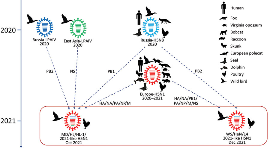 Pandemic flu 2009 swine distribution spatial